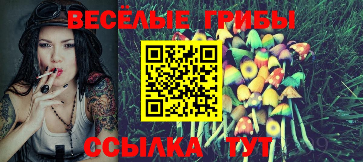 Рязань  наркотики  Вход с VPN  Псилоцибиновые грибы Psilocybe 